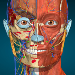 Anatomy Learning – 3D Anatomy Mod Apk (Full Unlocked)